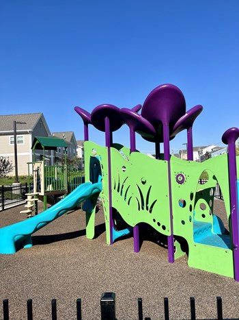 Playground Area-Preservation Square - Photo Gallery 7