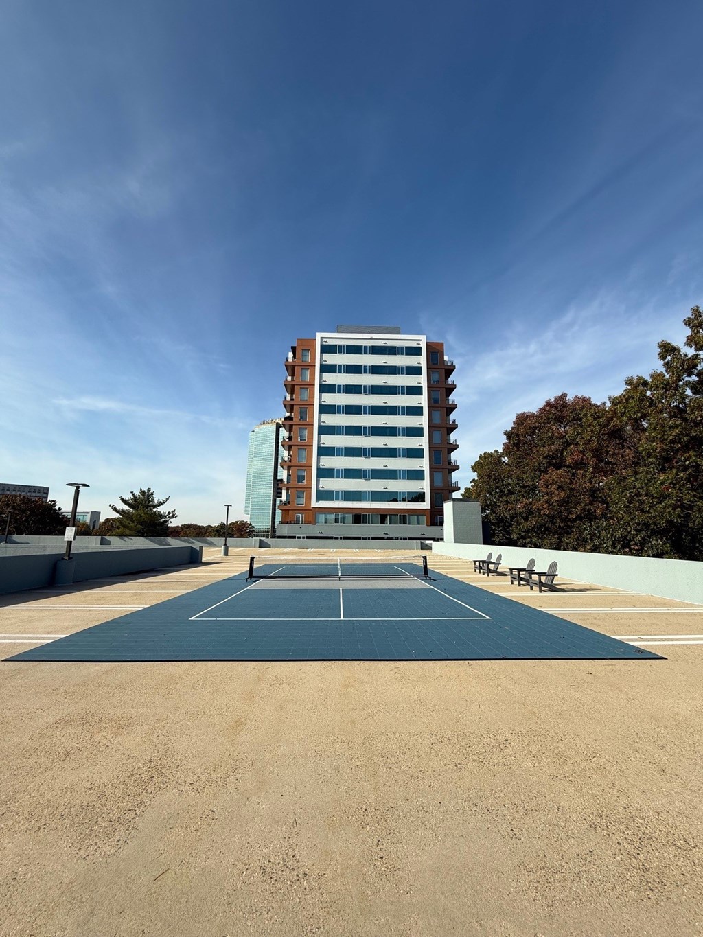 Pickleball Passion, Smashing Your Limits With Every Serve!