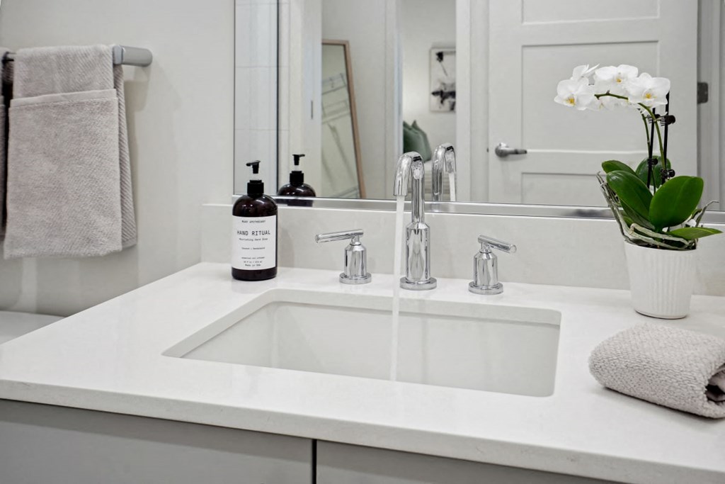 a bathroom sink with a bottle of soap and a vase of flowers at Sinclaire on Seminary, Alexandria, VA 22311