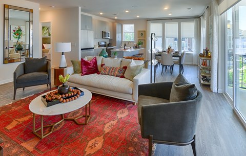 A living room with a grey couch and a red rug.