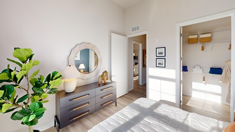 A bedroom with a bed, dresser, mirror and a plant.