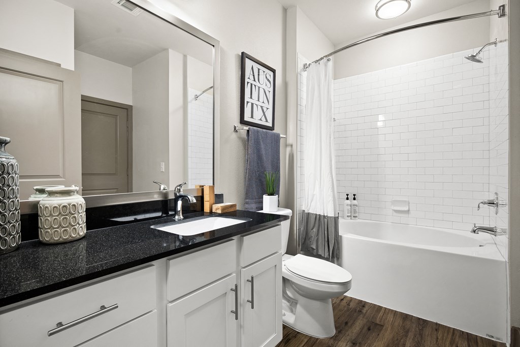 a bathroom with a sink and a toilet and a bath tub