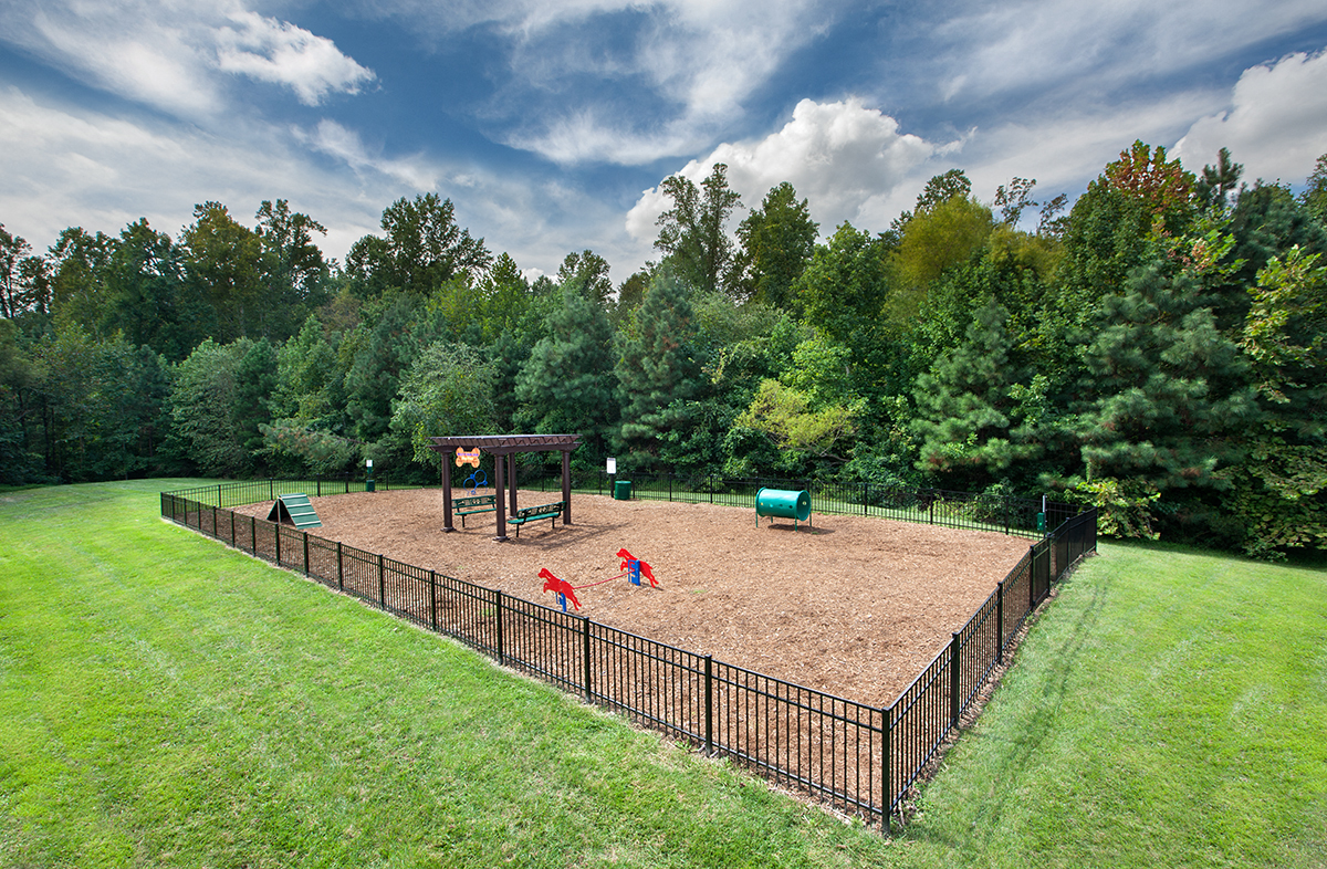 Dog Park