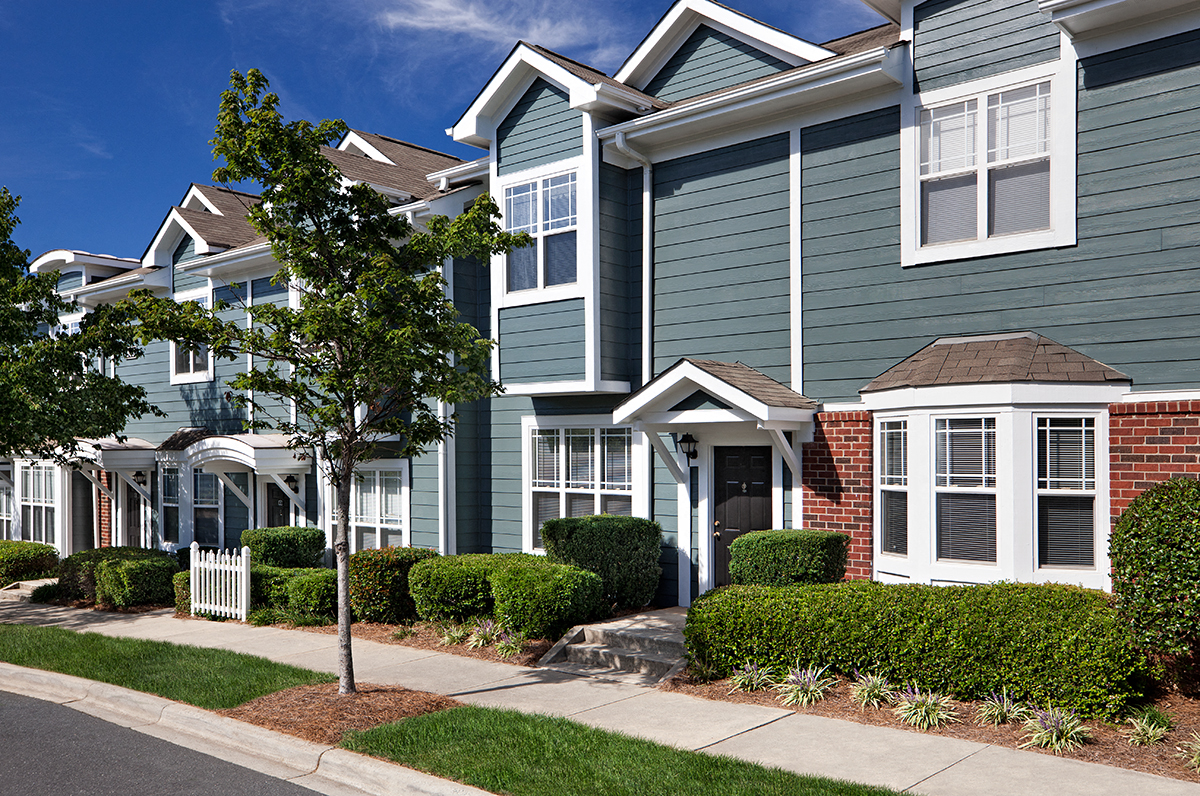 a row of blue houses with a tree in front of them