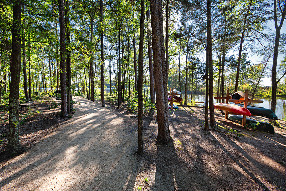 two planes parked in the woods near a lake