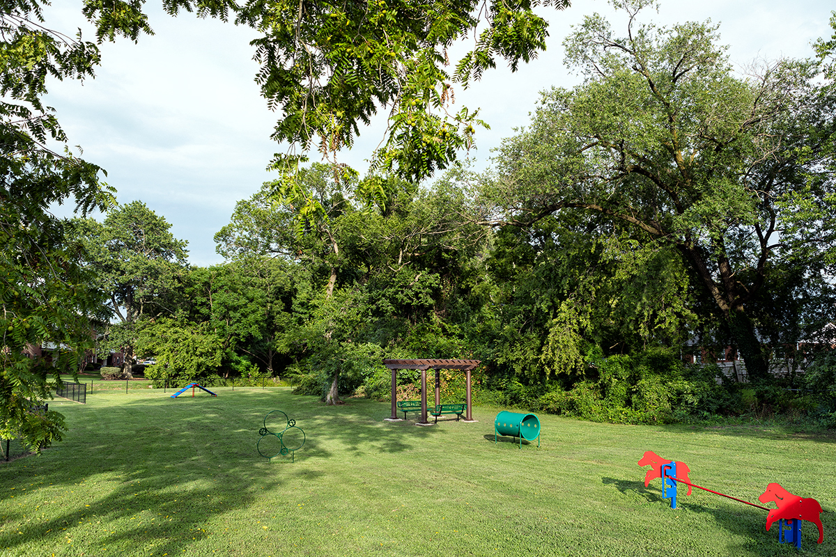 a park with playground equipment and trees