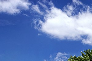 Lakeside Picnic and Grilling Area 70 Lakeshore Drive 1-3 Beds Apartment, Townhouse for Rent - Photo Gallery 3