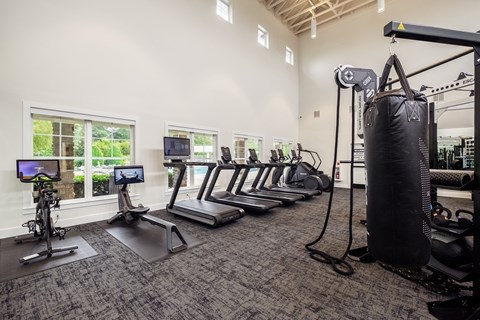 the gym with cardio equipment at the preserve at polk apartments