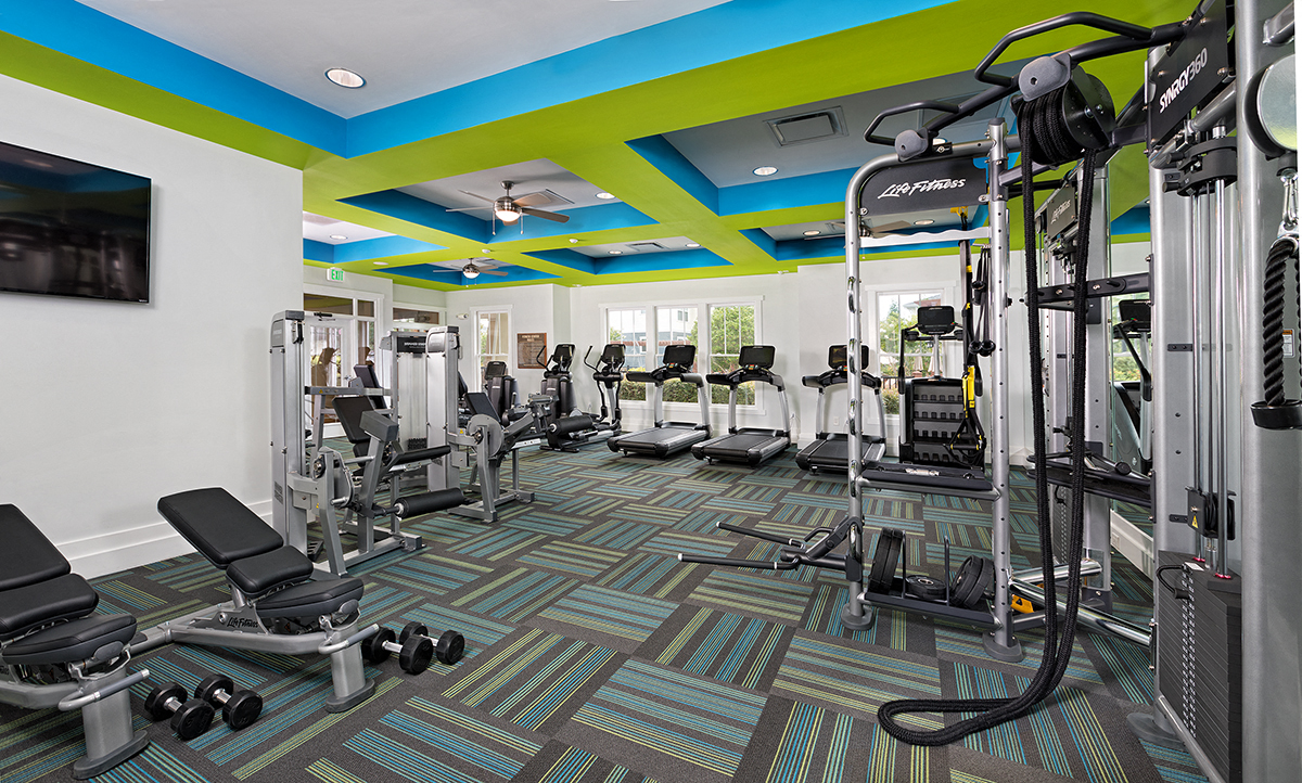 a gym with weights and cardio equipment in a treatment room