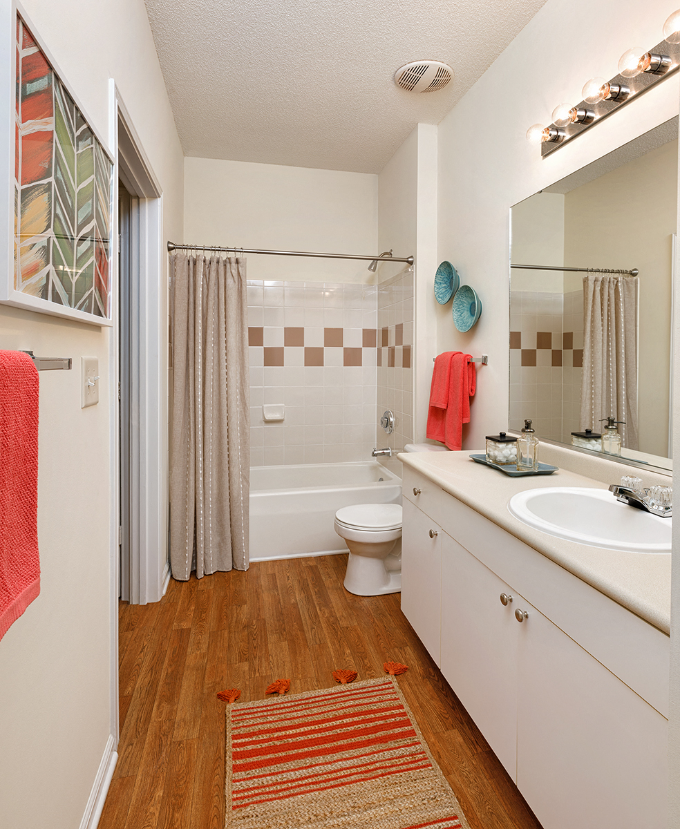 a bathroom with a shower toilet and sink and a mirror