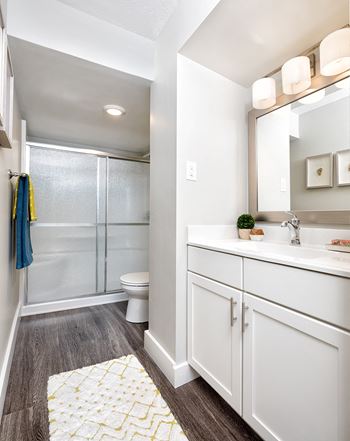 a bathroom with a shower toilet and sink and a mirror