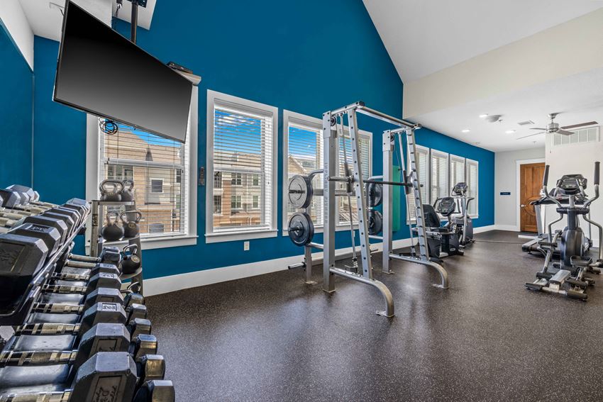 the gym - Photo Gallery