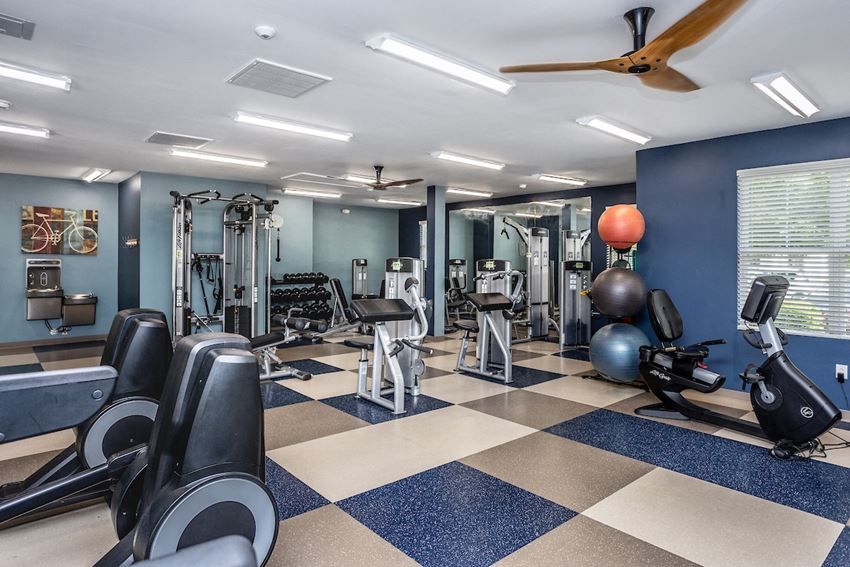 a gym with cardio equipment and weights on a checkered floor - Photo Gallery