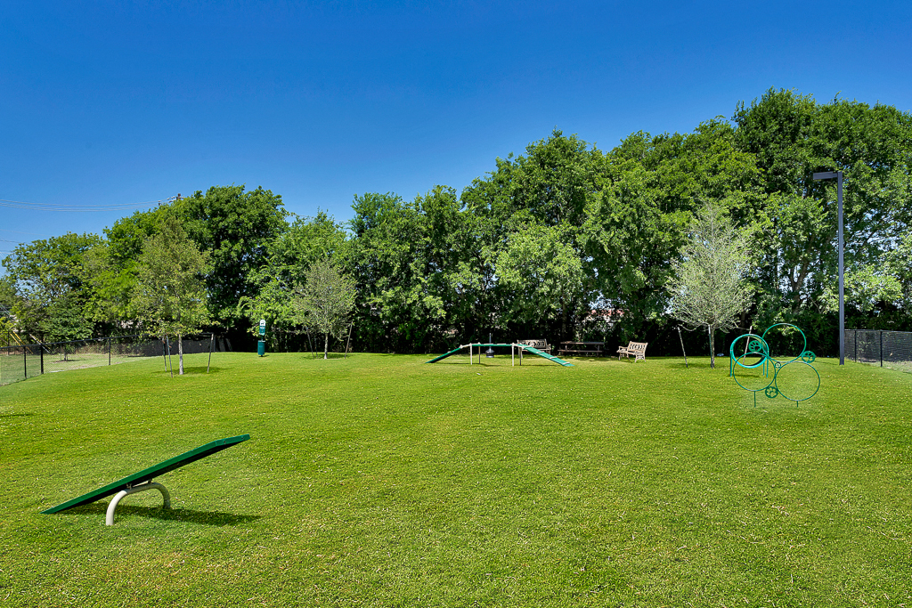 Dog Park