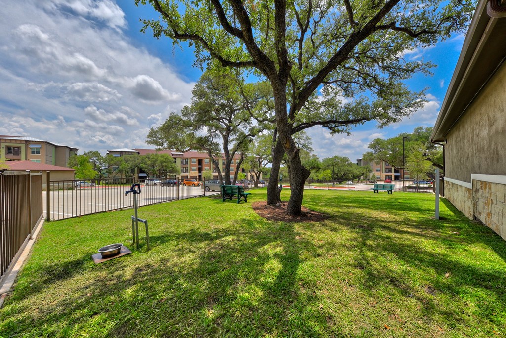 a yard with a tree and a fence in front of a building