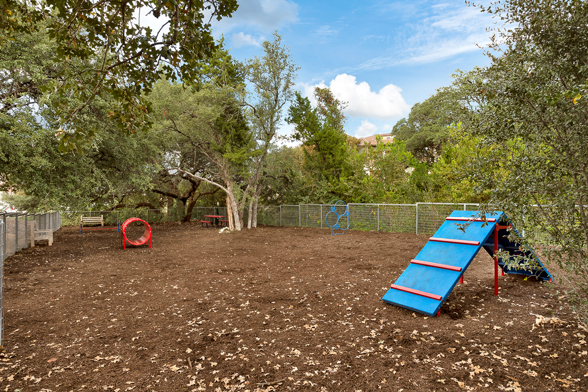a playground with a blue slide and trees