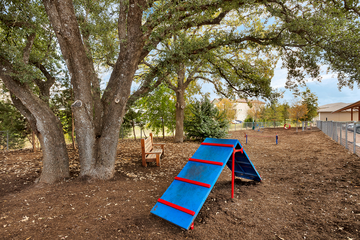 a blue and red slide in a park next to a tree