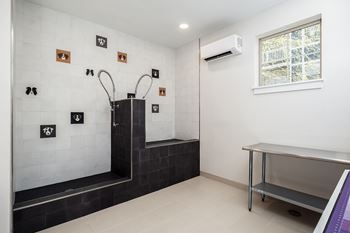 A bathroom with a shower, a window, and a bench.