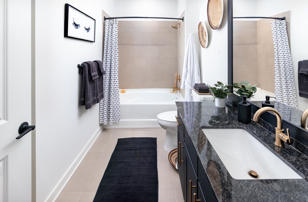 a bathroom with a sink and a toilet and a bath tub