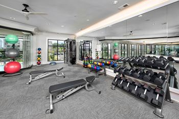 Two Cardio and Strength Training Fitness Centers