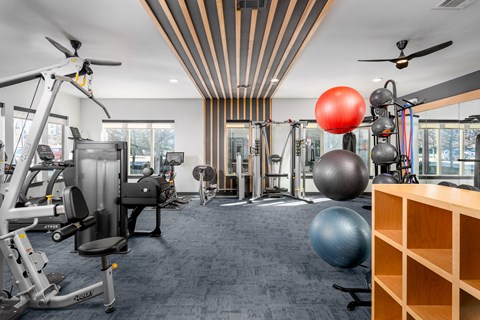 A gym with a variety of equipment including a weight bench, a rowing machine, and a squat rack.