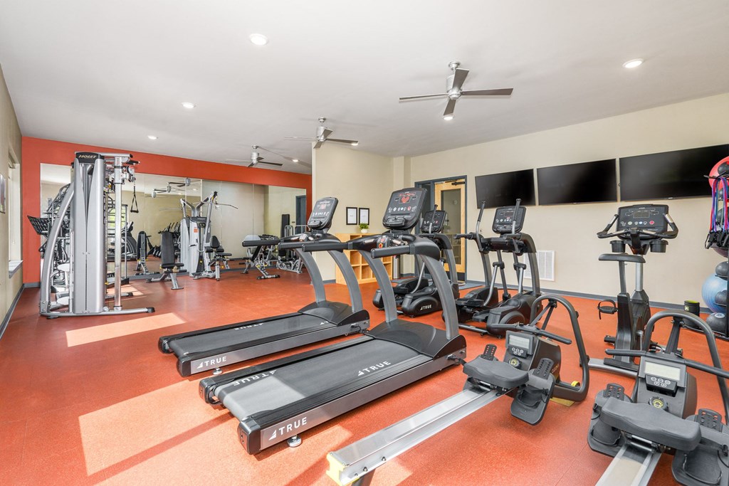 the gym has plenty of treadmills and other exercise equipment