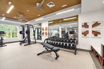 A gym with a variety of equipment including weights and a bench.