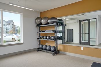 A room with a rack of exercise equipment.