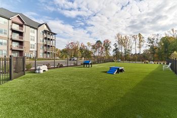 A grassy field with a blue bench and apartment buildings in the background.