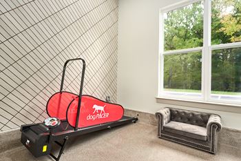 A dog pacing cart sits in a room with a grey couch.
