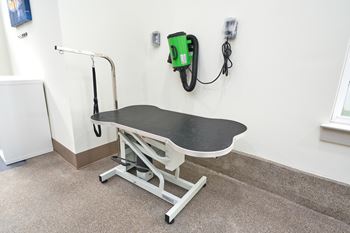 A medical examination table in a room with a green machine on the wall.