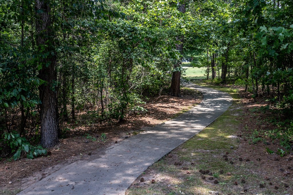 a path through the woods