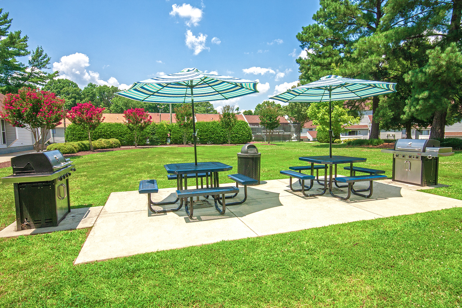 Outdoor Grilling/Picnic Area