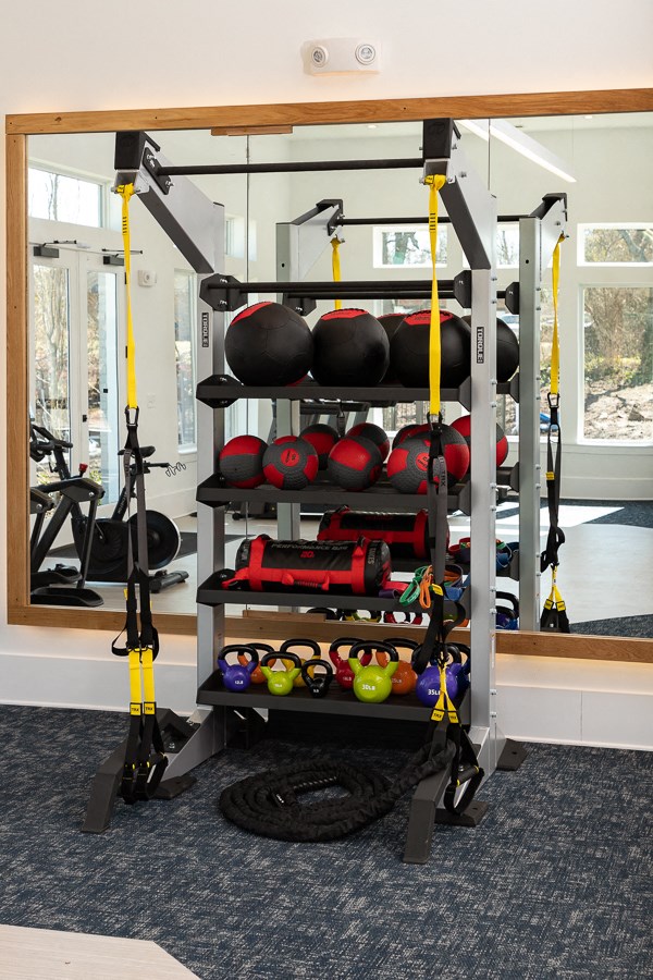a home gym with weights and cardio equipment