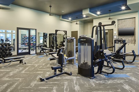 A gym with a variety of equipment including a rowing machine.