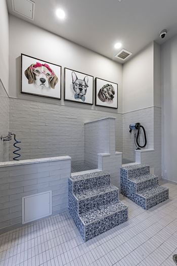 a bathroom with white tiles and pictures of dogs on the wall