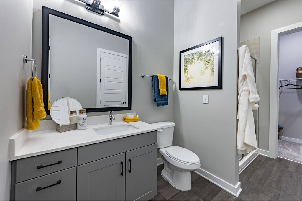 a bathroom with a mirror and a toilet and a sink