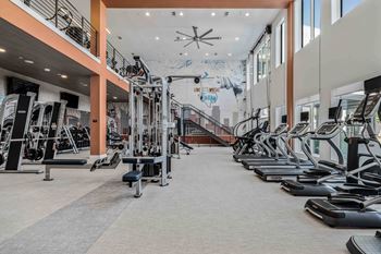 a large fitness center with treadmills and other exercise equipment