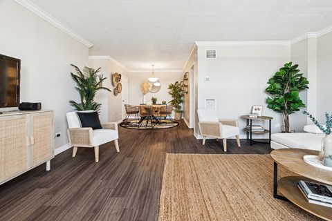 Beautiful living room at Esplanade at City Park, New Orleans, LA, 70119