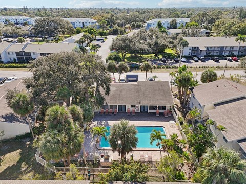 A swimming pool is surrounded by palm trees and a building.