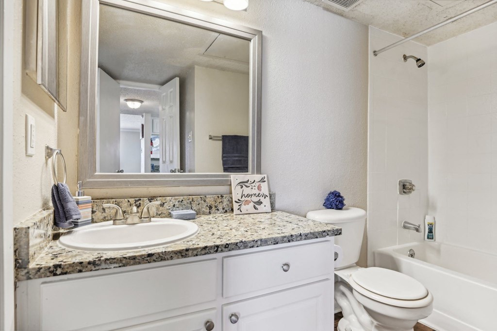 a bathroom with a sink and a mirror and a toilet at The Glen at Highpoint, Dallas, 75243