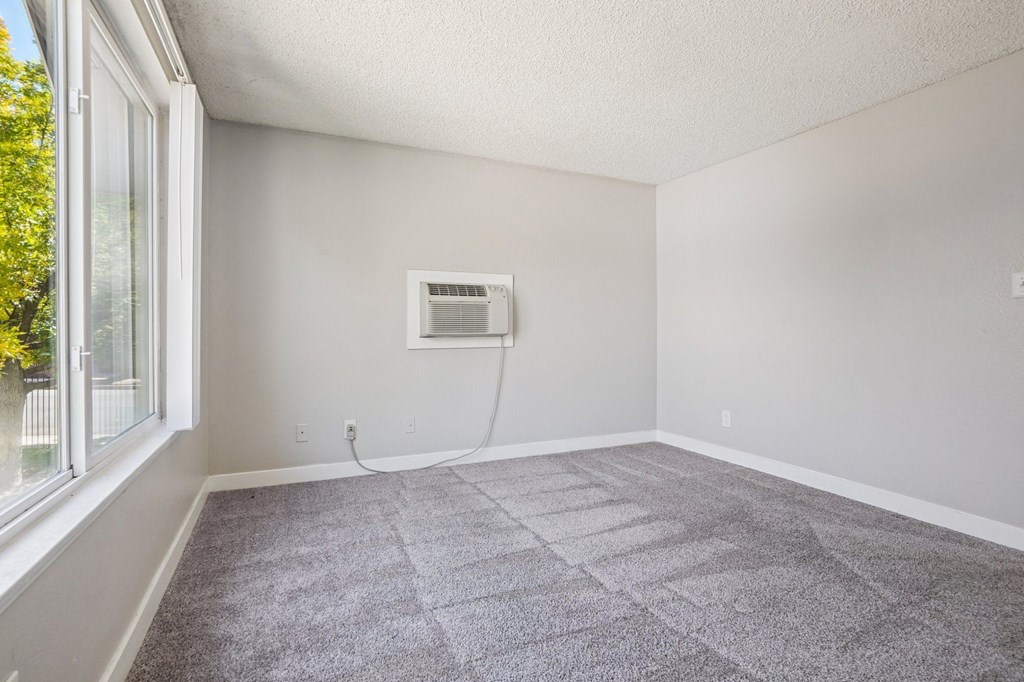 A room with a window and a carpet on the floor.