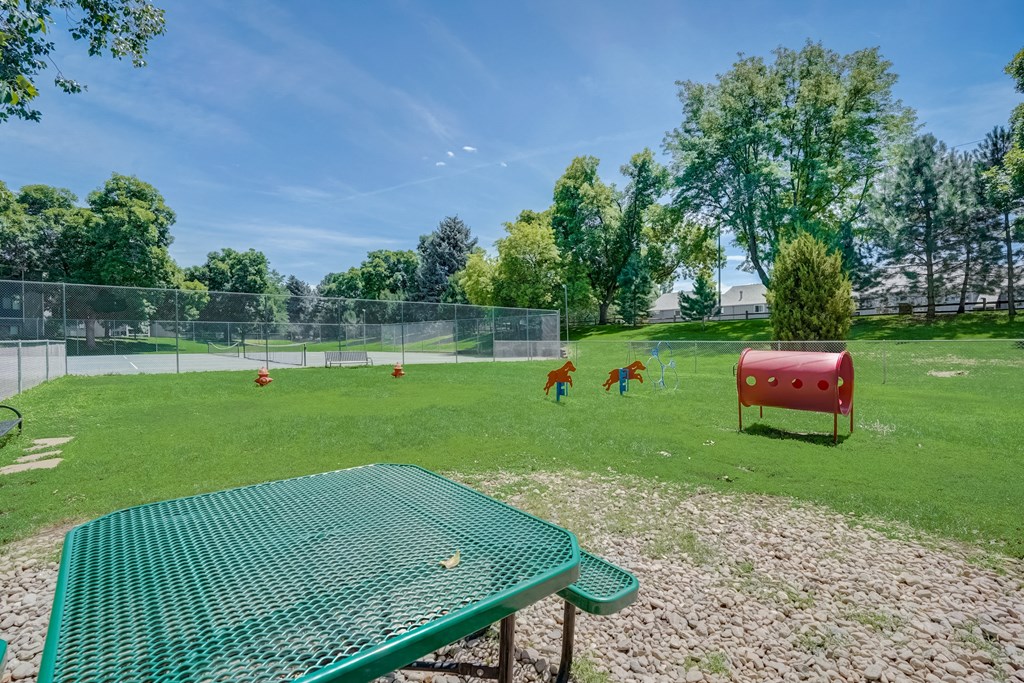 Picnic table in the dog park at Governor's Park, Fort Collins, 80525