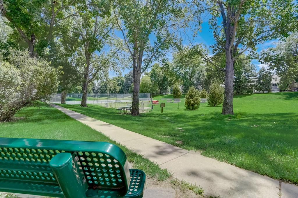 Bench with a  dog park in the background at Governor's Park, Fort Collins, 80525