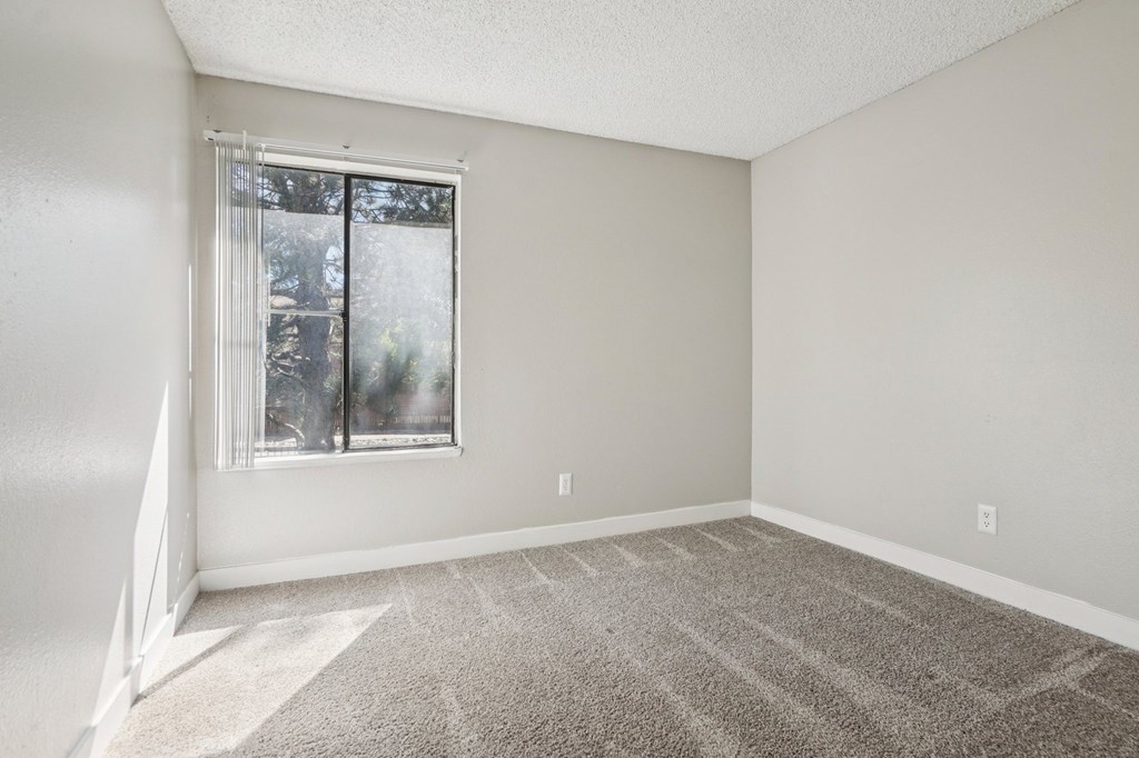 A room with a carpeted floor and a window.