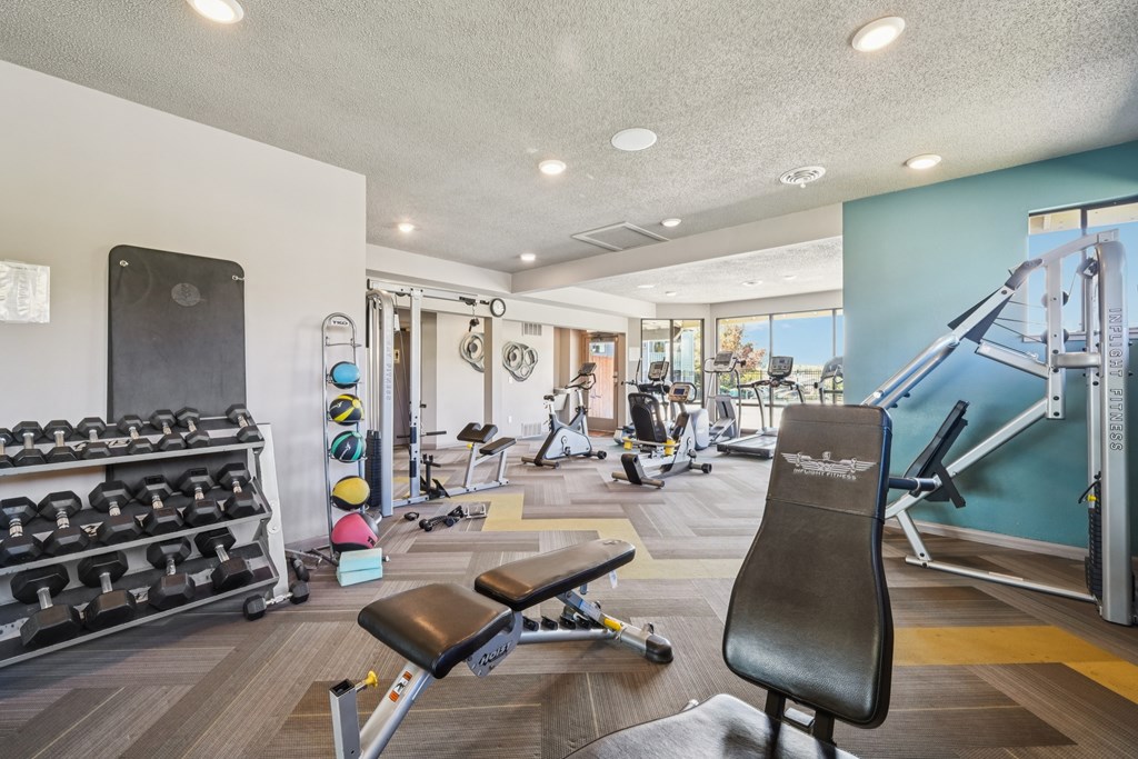A gym with a variety of equipment including weights, a bench, and a treadmill.