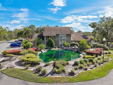 A house with a green pool in the front yard.