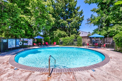 A round pool surrounded by trees and a fence.