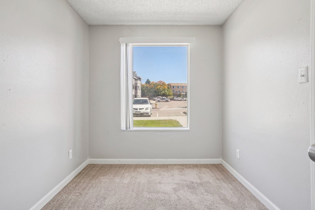 A room with a carpeted floor and a window showing a street view.