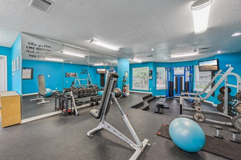 A gym with a blue wall and a variety of equipment.
